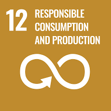 SDG 12: Responsible Use